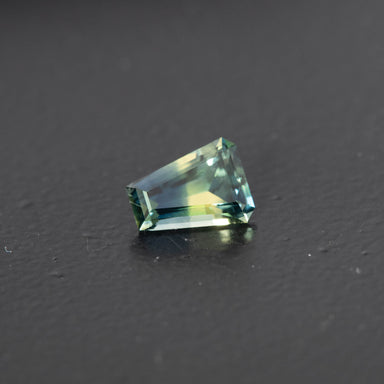 Parti Free Form Sapphire 0.72ct [S.P.FF.1773]