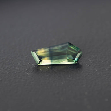 Parti Free Form Sapphire 1.17ct  [S.P.FF.2189]