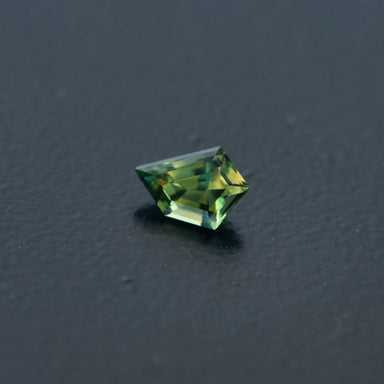 Parti Free Form Sapphire 0.61ct  [S.P.FF.2457]