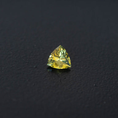 Parti Trilliant Sapphire 0.48ct [S.P.T.2470]