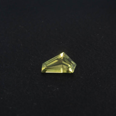 Parti Free Form Sapphire 0.57ct  [S.P.FF.2658]